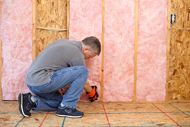 Best Cellulose Insulation in Tioga Terrace, NY